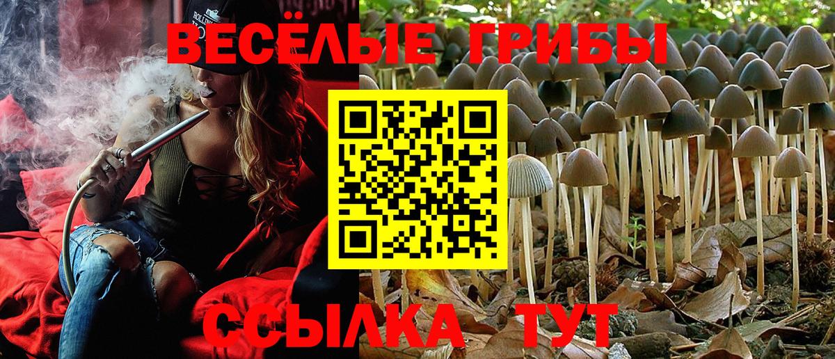 Псилоцибиновые грибы MAGIC MUSHROOMS Реж