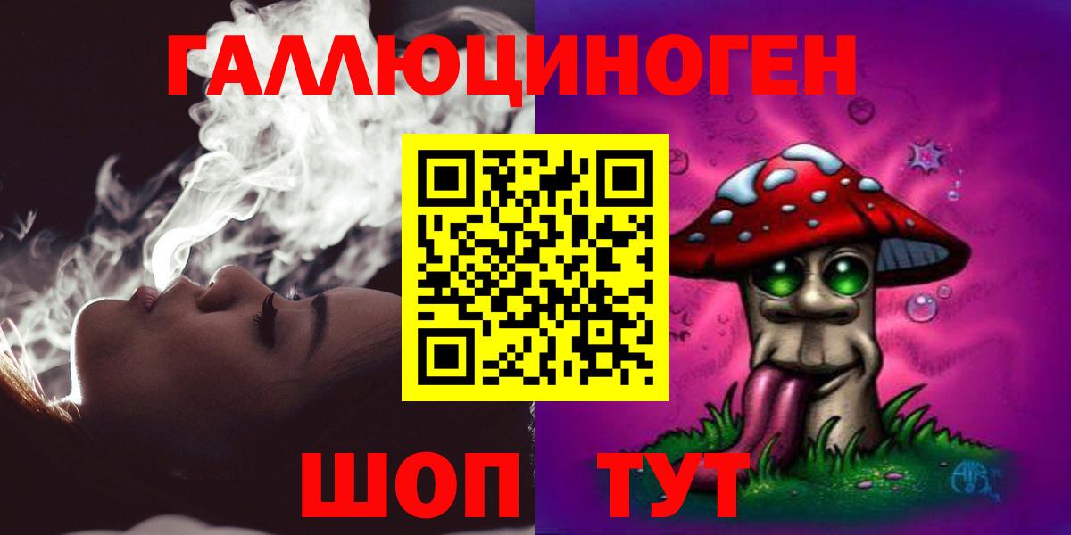 Галлюциногенные грибы Psilocybine cubensis  Вход с VPN  Реж 